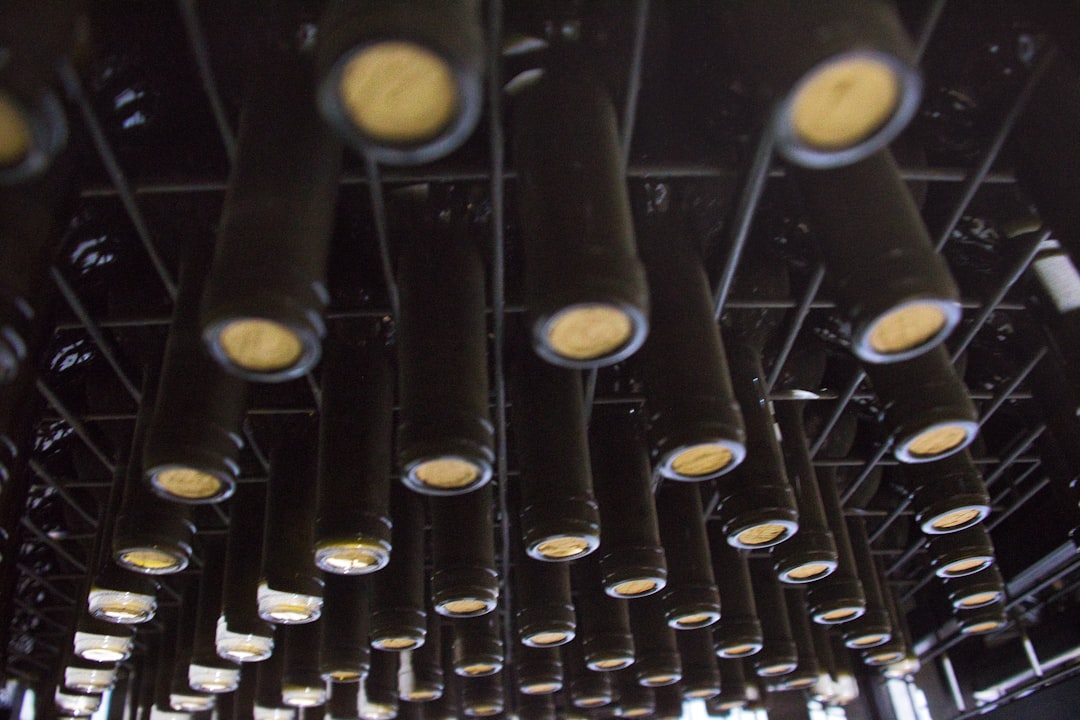 Cata de vinos en bodega exclusiva